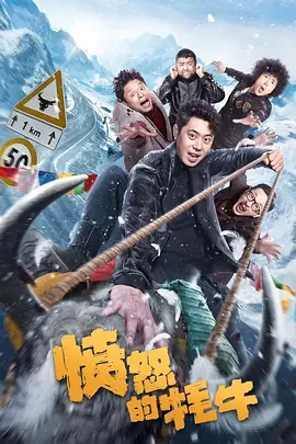 国产精品网站在线观看