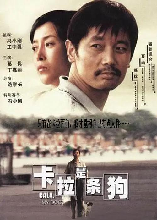 脱色摇床thermo