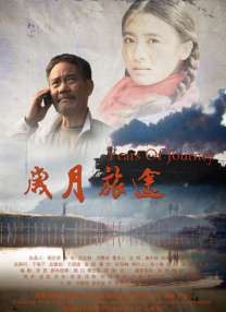 亚洲精品视频免费在线观看